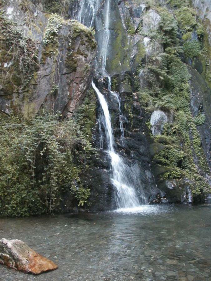 Casa De Xisto Villa Arganil Dış mekan fotoğraf